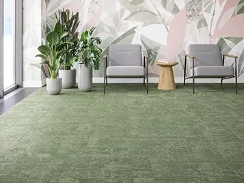 Tessera Basis Pro Phase