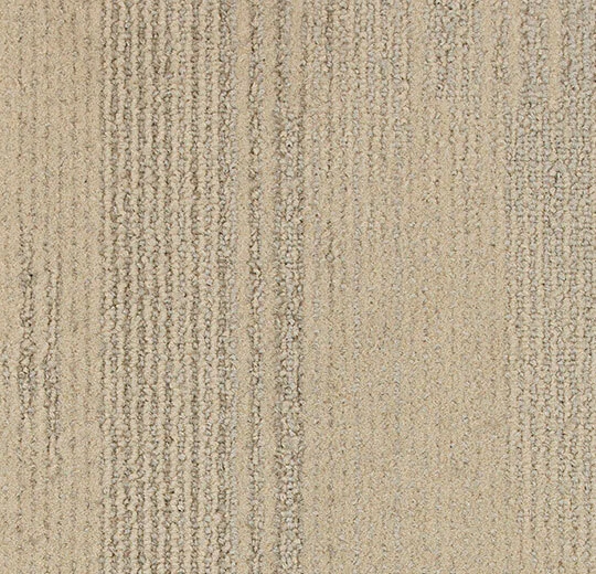 Tessera Contour